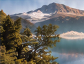Lac de montagne bordé de sapins
